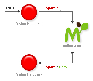 vision1