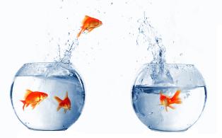 Migrate From Kayako / Cerberus to Vision Helpdesk